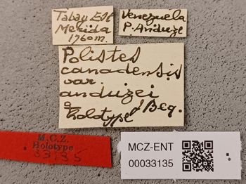 Media type: image;   Entomology 33135 Aspect: labels
